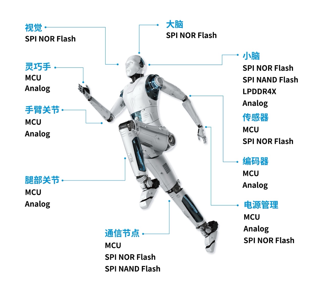 humanoid-robot大.jpeg